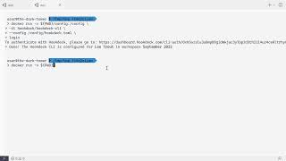 Using the Hookdeck CLI in Docker