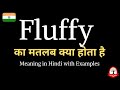 Fluffy को हिंदी मे क्या कहते हैं। Fluffy ka kya matlab hota hai | explained fluffy in Hindi