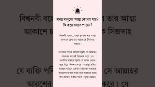 ঘুমন্ত মানুষের আত্মা কোথায় যায়। #shortvideo #islamicvideo