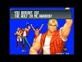 The King Of Fighters 96 - Fatal Fury Team