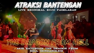 PERFOM AKTRAKSI BANTENGAN THE DRAGON FROM HELL DI BRONGKAL PAGELARAN