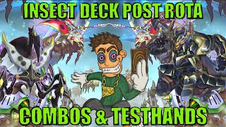 IN-DEPTH INSECT COMBOS AND TESTHANDS POST ROTA!! (November 2024)