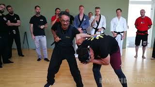 Martial art festival in Austria, Graz 2022, GM Robert Castro