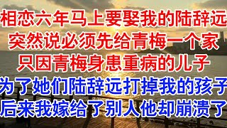 相恋六年，马上就要娶我的陆辞远，突然让我再等等。他说必须先给青梅母子一个家，才能再娶我。#小说 #故事 #爱情故事 #情感 #情感故事 #亲情故事 #为人处世 #婚姻