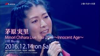 茅原実里 / Minori Chihara Live Tour 2016 〜Innocent Age〜 Live BD ダイジェスト映像