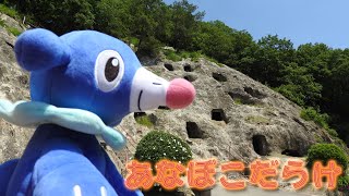 【ポケモンぬいぐるみ紀行】アシマリとカイリューのお墓参り？