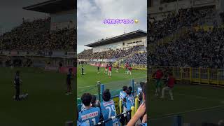 【ガチ切れ？！】鳥かごで小林悠が瀬川にキレた？！笑 #川崎フロンターレ #フロンターレ