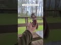 a kind family rescued an injured baby squirrel and then animalshorts animalrescue shortvideo