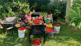 Vamos fazer Pimenta da Terra ou Calda de Pimenta para temperar nossos pratos á moda dos Açores