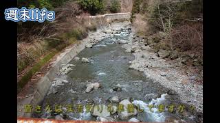 2024　水窪川の釣り事情