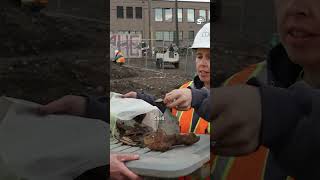 Archaeologists unearth historical treasures in century-old outhouses in Syracuse, NY