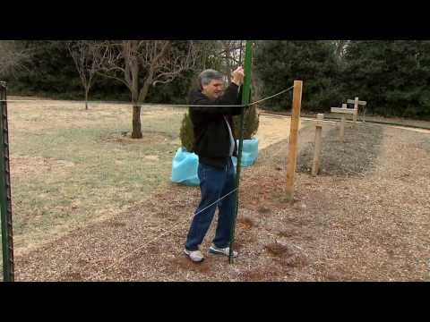 Building a Grape Trellis Building a Grape Trellis