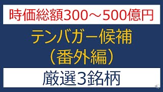 時価総額300～500億円 テンバガー候補 厳選3銘柄！