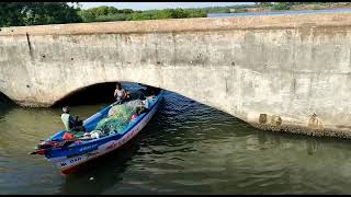 Backwaters | Boat under the bridge | cuddalore fishermen | கடலூர் மீனவன் | Thrilling boating