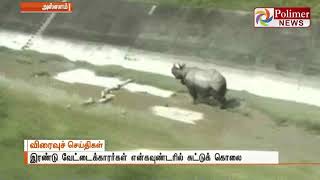 காண்டாமிருகங்கள் மர்ம நபர்களால் வேட்டை , இரண்டு பேர்  வனத்துறையால் சுட்டுக் கொலை