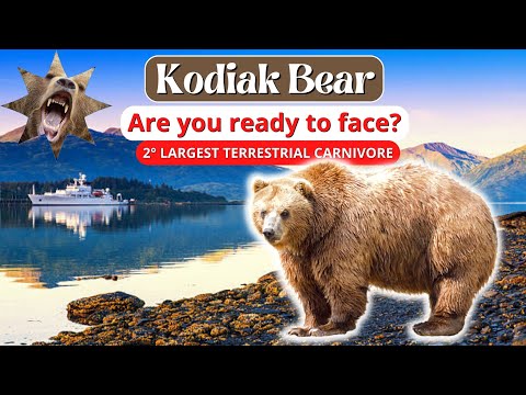 What genus does the Ursus arctos belong to?
