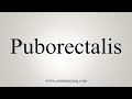 How To Say Puborectalis