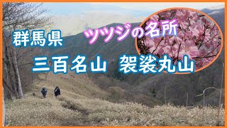 【もの好き登山】アカヤシオ満開の日本三百名山 袈裟丸山