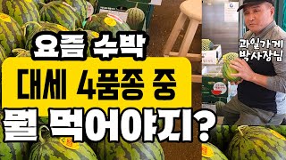 수박에도 랭킹이 있다?  | 요즘 대세수박 4종 | 그중 챔피언종은?