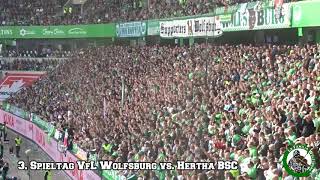 Saison 2018/2019 3. Spieltag VfL Wolfsburg vs. Hertha BSC