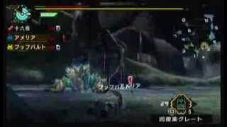 【24日目】Monster Hunter 3rd HD -集会所☆5緊急 無双の狩人 to Hunter Rank 3-