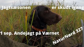 NaturNørd 327. Andejagt på Værnengene!!! + Vind præmier!!!!