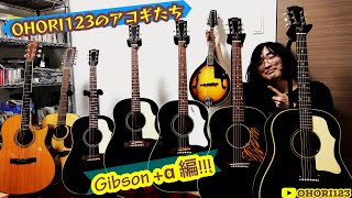 初公開!!OHORI123のアコースティック・ギターたち!!第二弾!!USA/海外産アコギ(Gibson,Larrivee,etc...)＋α編!!