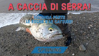 A CACCIA DI SERRA! Seconda parte LE ESCHE gli attacchi E LE PREDE! Spinning inshore