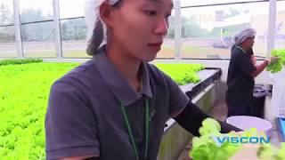 Hydroponic system ការដាំដំណាំដោយមិនប្រើដី, ដាំនៅលើទឹក,នៅក្នុងផ្ទះសំណាញ់