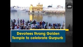 Devotees throng Golden Temple to celebrate Gurpurb - Punjab News