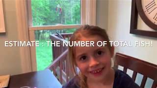 COUNTING FISH CHALLENGE: Estimate the population of fish in the lake!
