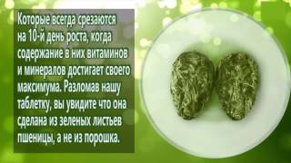 Новый продукт ростки пшеницы пресcованные.