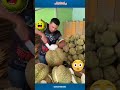 Durian Montong Raksasa Jumbo 🤤 |#SHORTS #durian