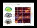 biological subtyping in psychiatry hope controversy and a new method by logan grosenick