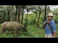 P1-TYPICAL DAY IN THE FARM AND AN AMAZING SOURCE OF OUR POTABLE WATER/NymphsVlogPh/CamSur