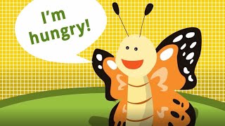 Butterfly Nectar Recipe: How to Make Food for Butterflies