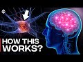 How Hallucination Works In Brain? Science Of Hallucinations Explained