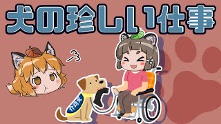 【ゆっくり解説】犬の珍しいお仕事8選