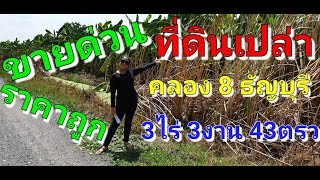 EP005ที่ดินคลอง8 ขายด่วนที่ดินคลอง 8 ธัญบุรี