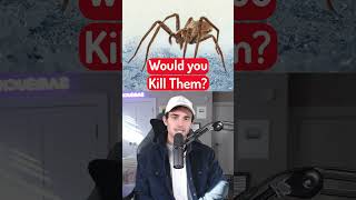 Do You Kill These Bugs?