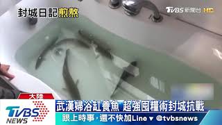 武漢婦浴缸養魚　超強囤糧術封城抗戰