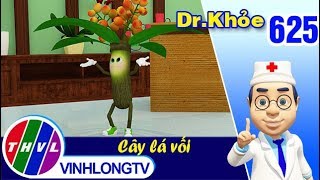 Dr. Khỏe - Tập 625: Cây lá vối – Phần 3