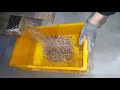 chironji seed color sorting igsp co. ltd.