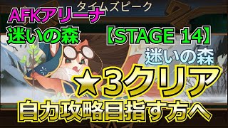 【AFKアリーナ】迷いの森（パズル）　STAGE　14　星3クリア　自力攻略を目指す方へ【AFK ARENA】