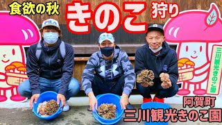 秋の味覚【きのこ狩り】三川観光きのこ園へ 新潟の秋の人気観光スポット これが新潟だ This is NIIGATA