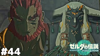 王と王【ゼルダの伝説 ティアーズ オブ ザ キングダム】＃４４