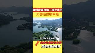 你發現沒？娶到老婆是這三個生肖的，大都過得很幸福，準得可怕【陌上煙雨】#生肖#运势 #幸福#婚姻 #家庭