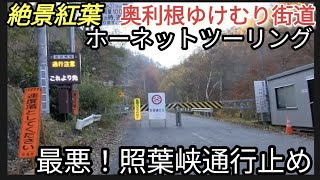 マジ?!【照葉峡通行止め】奥利根ゆけむり街道!絶景紅葉2021秋ホーネットツーリング県道63号これからどうする？