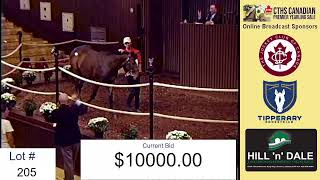 2022 CTHS Canadian Premier Yearling Sale - CTHS Ontario Division