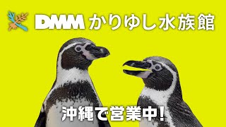 イキモノ大集合　ペンギン篇（15秒）